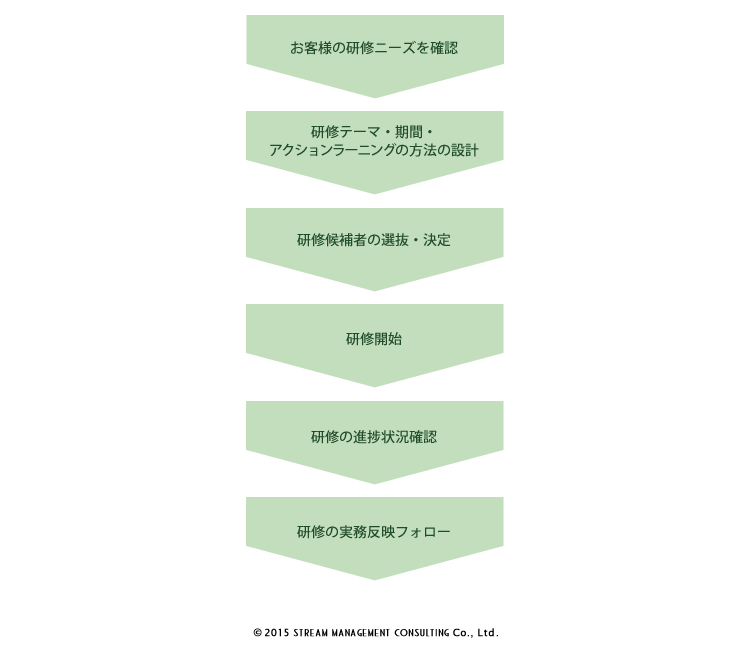 アクションラーニング型育成プログラムフロー